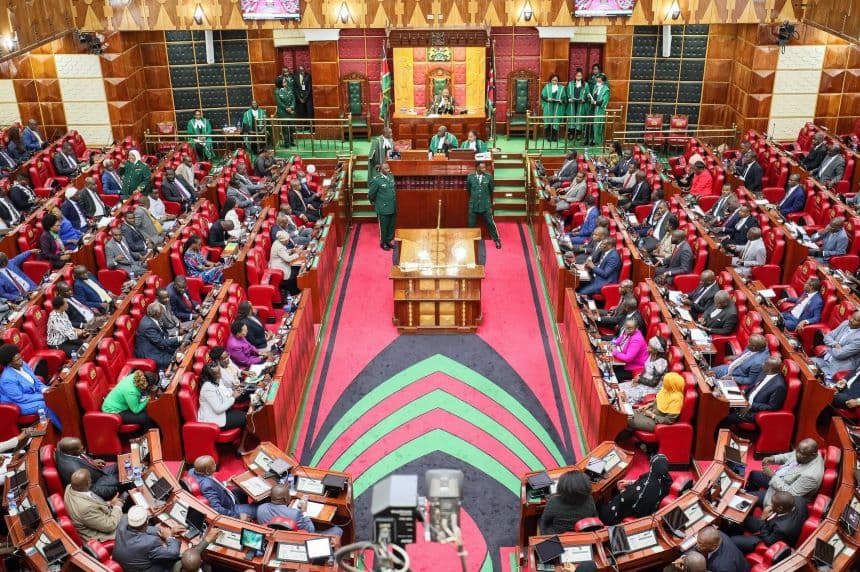 Kenya's Parliament in session. Image: courtesy (NA).