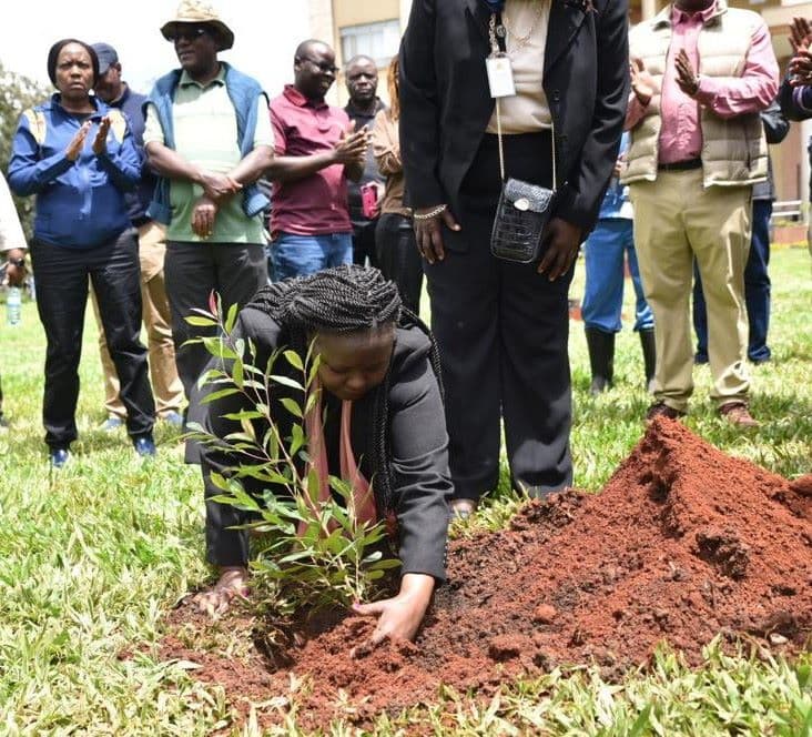 CBK Deputy Governor Susan Koech planting a tree at KSMS. Image: courtesy.