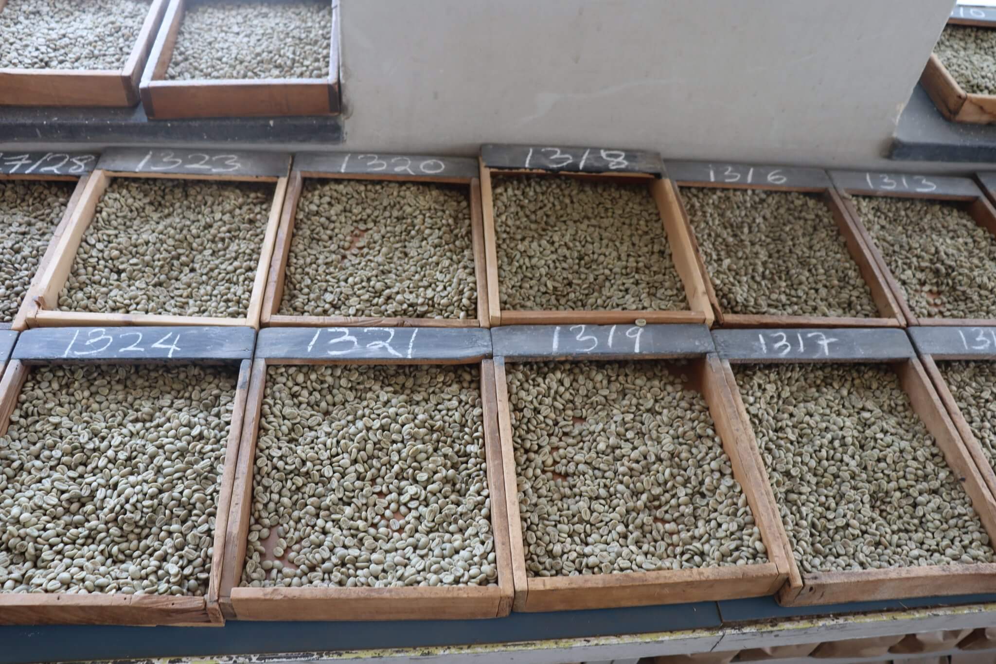 Coffee samples at the Nairobi Coffee Exchange. (Photo:NCE)