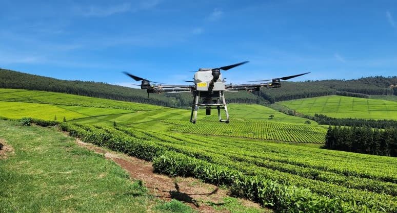 A drone on tea planation. Photo (KQ).