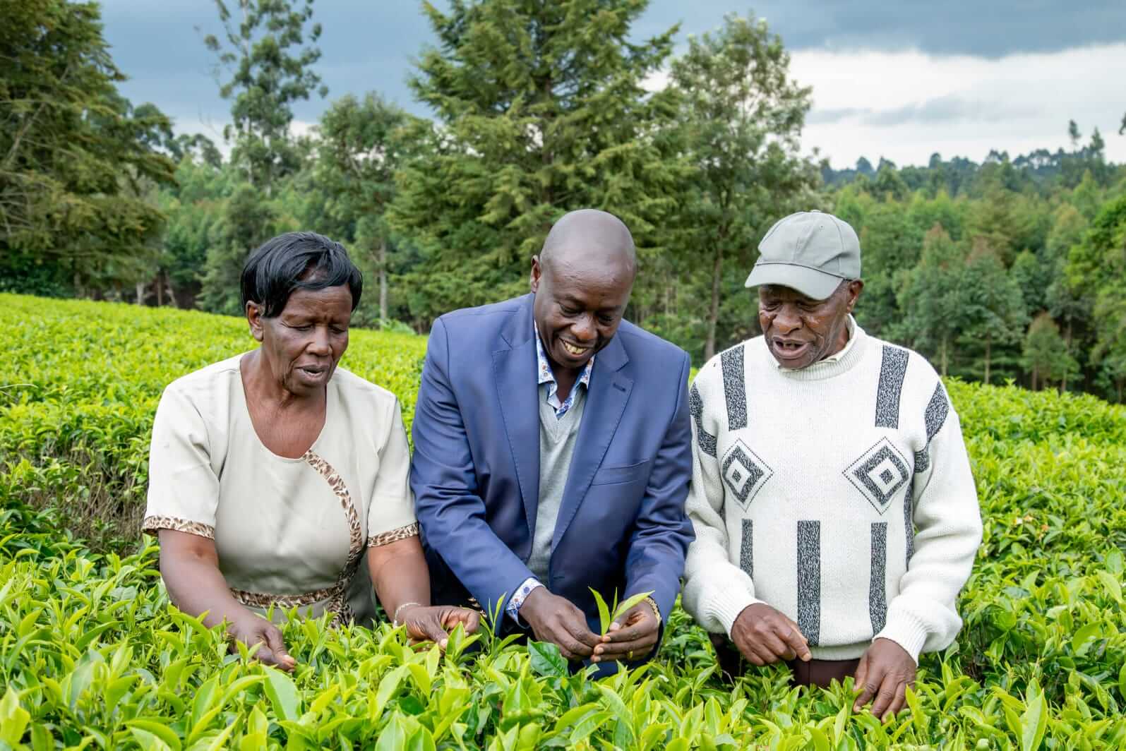Kenya's Deputy President Rigathi Gachagua during the tea conference in Kericho. Photo:DPPS.