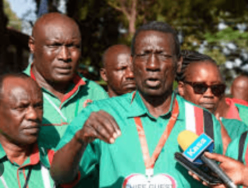 How KNUT Roared Back to Its Lost Glory
