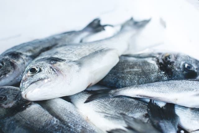China Controls 77pc of Kenya's Fish Market Ahead of Ban