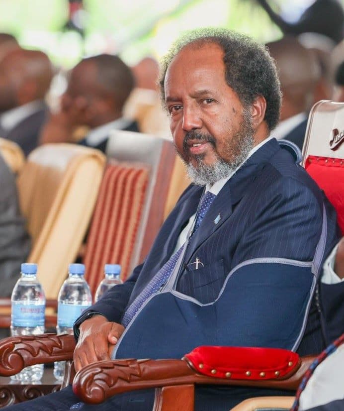 Somali President. Image: courtesy.