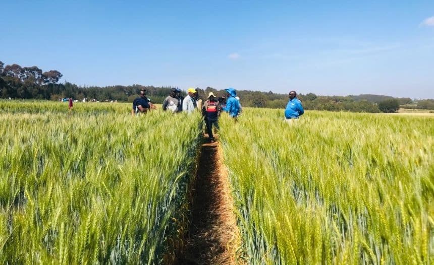 Farmers during Agventure Centre of Excellence Field Day. Photo (courtesy)