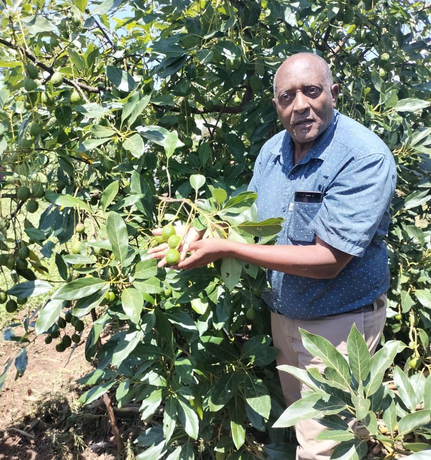 Ndegwa Ndirang'u, avocado farmer in Bungoma County. Image: BDA.